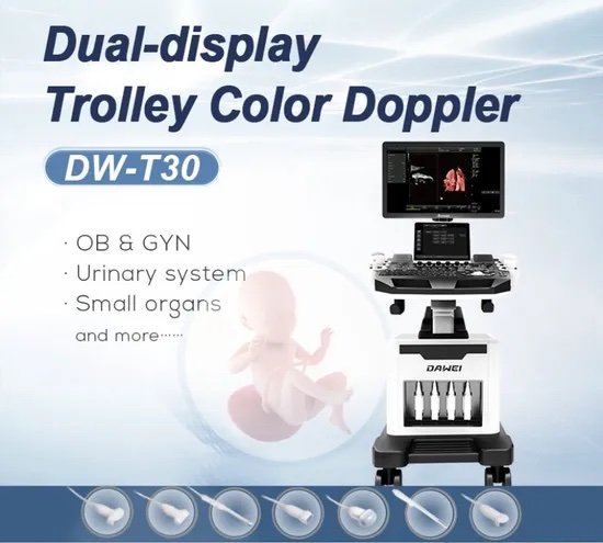 Échographe Doppler couleur sur chariot